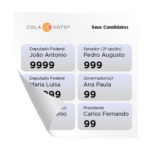 Cola de voto impressa